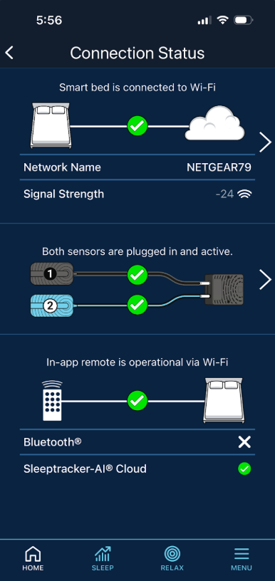 Screenshot of the Connection Status page, displaying the in-app remote communication method and green checkmarks next to the connected methods of communicating. 